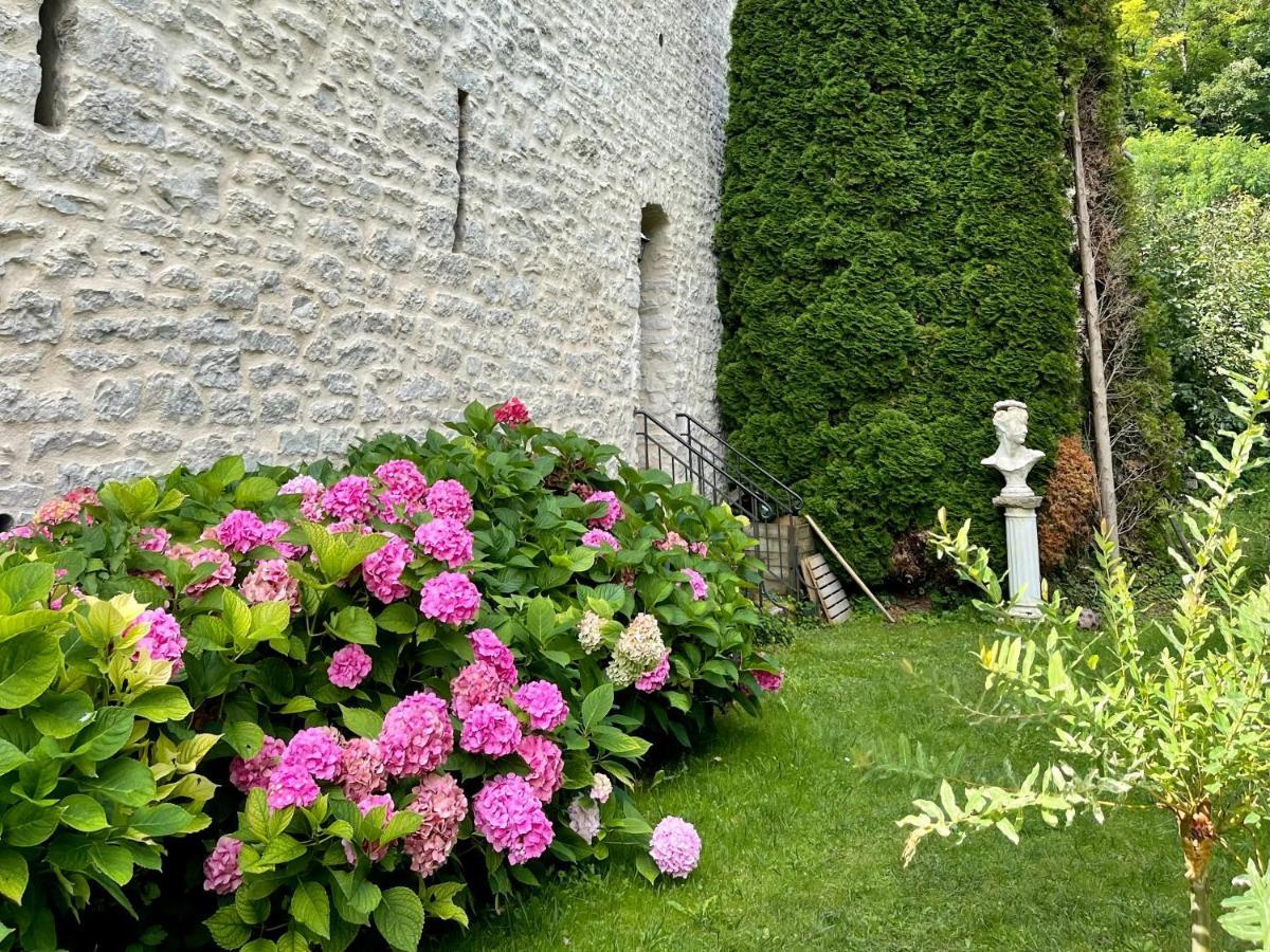 Manoir Saint-Pierre Bed & Breakfast Villersexel Exterior photo